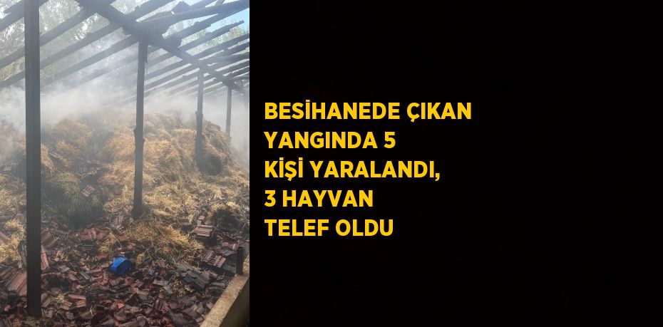 BESİHANEDE ÇIKAN YANGINDA 5 KİŞİ YARALANDI, 3 HAYVAN TELEF OLDU