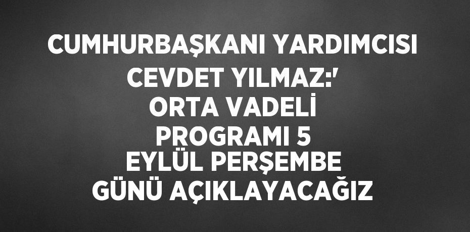 CUMHURBAŞKANI YARDIMCISI CEVDET YILMAZ:' ORTA VADELİ PROGRAMI 5 EYLÜL PERŞEMBE GÜNÜ AÇIKLAYACAĞIZ