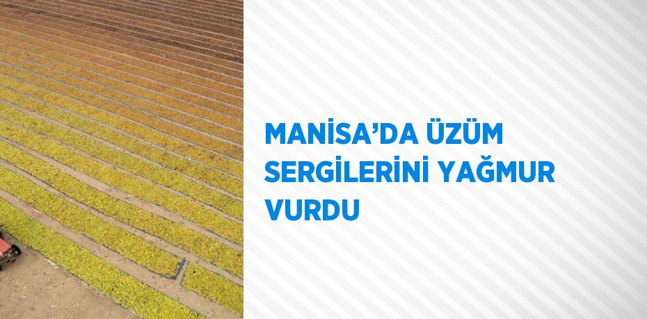 MANİSA’DA ÜZÜM SERGİLERİNİ YAĞMUR VURDU