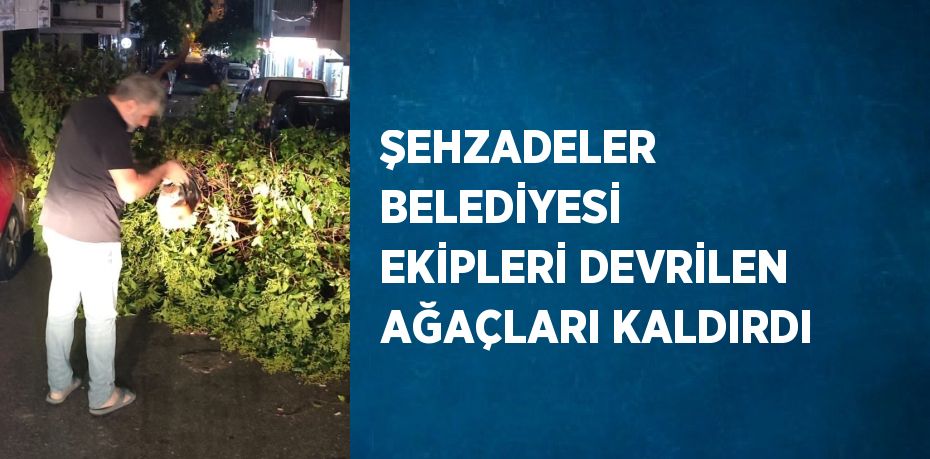 ŞEHZADELER BELEDİYESİ EKİPLERİ DEVRİLEN AĞAÇLARI KALDIRDI