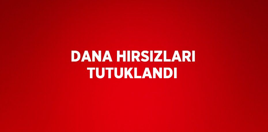 DANA HIRSIZLARI TUTUKLANDI