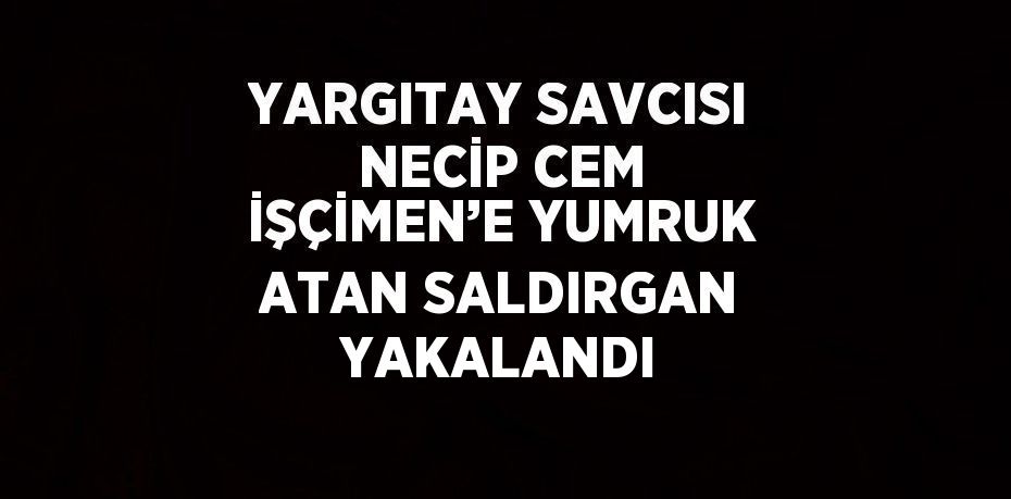 YARGITAY SAVCISI NECİP CEM İŞÇİMEN’E YUMRUK ATAN SALDIRGAN YAKALANDI