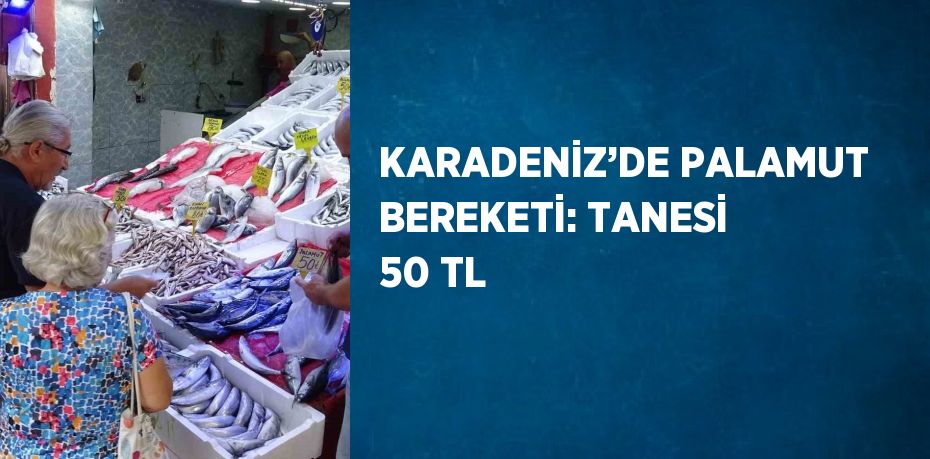 KARADENİZ’DE PALAMUT BEREKETİ: TANESİ 50 TL