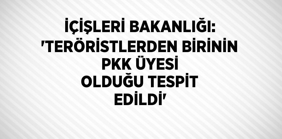 İÇİŞLERİ BAKANLIĞI: 'TERÖRİSTLERDEN BİRİNİN PKK ÜYESİ OLDUĞU TESPİT EDİLDİ'