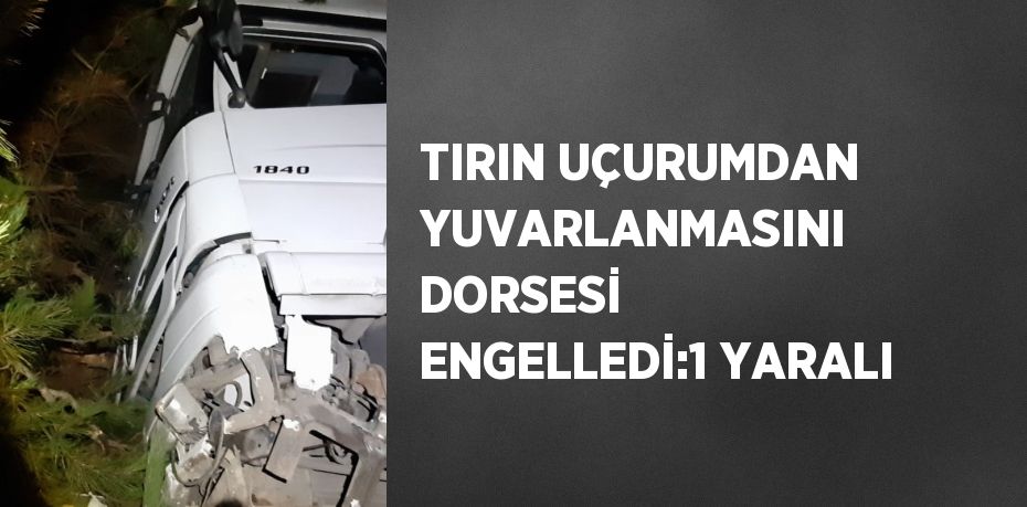 TIRIN UÇURUMDAN YUVARLANMASINI DORSESİ ENGELLEDİ:1 YARALI