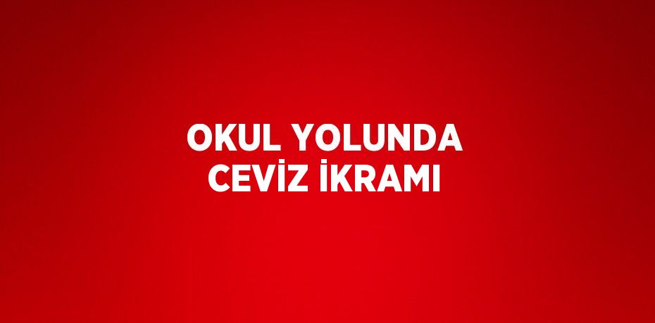 OKUL YOLUNDA CEVİZ İKRAMI