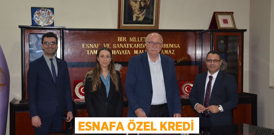 ESNAFA ÖZEL KREDİ