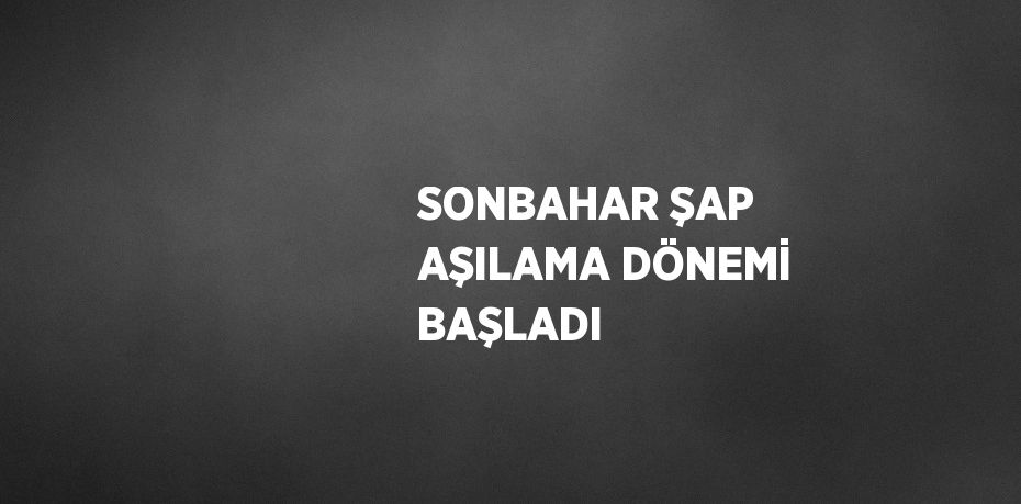 SONBAHAR ŞAP AŞILAMA DÖNEMİ BAŞLADI