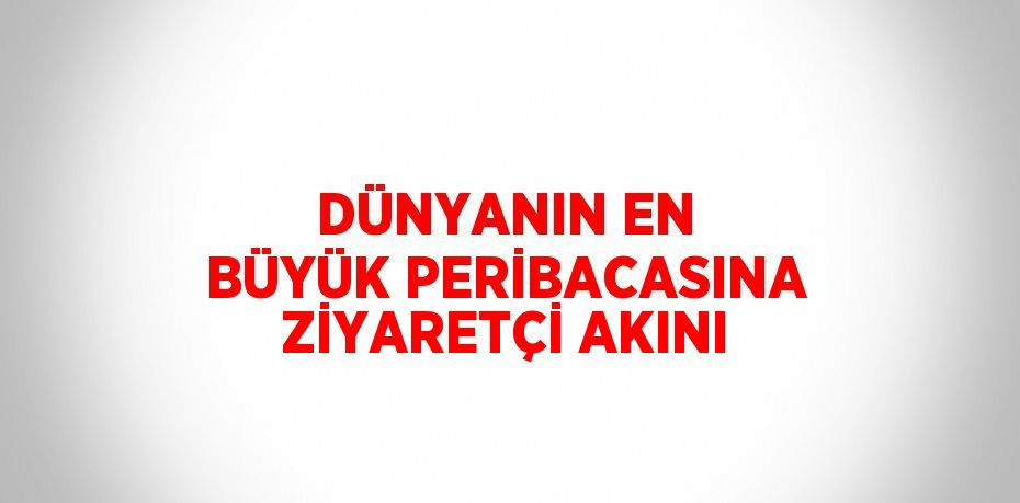 DÜNYANIN EN BÜYÜK PERİBACASINA ZİYARETÇİ AKINI