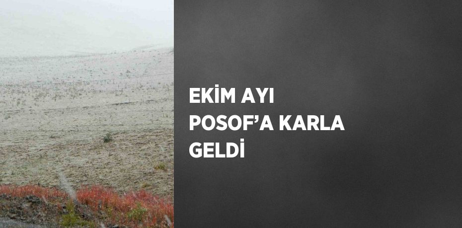 EKİM AYI POSOF’A KARLA GELDİ