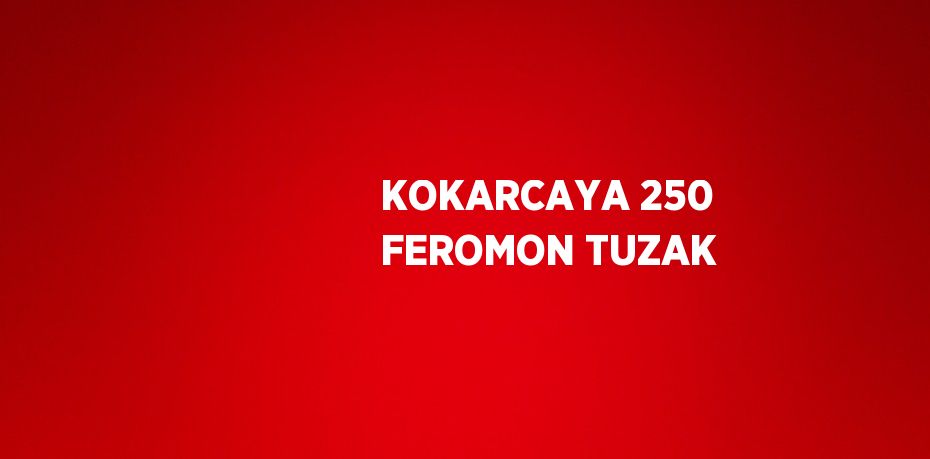 KOKARCAYA 250 FEROMON TUZAK