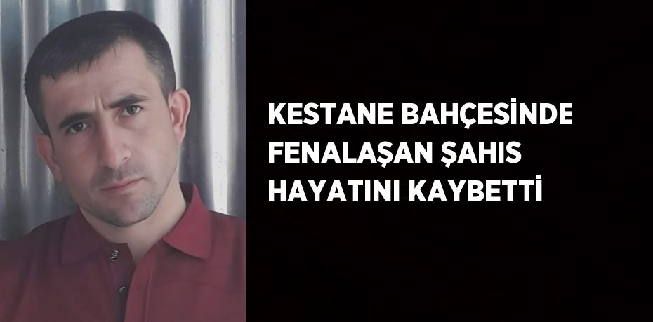 KESTANE BAHÇESİNDE FENALAŞAN ŞAHIS HAYATINI KAYBETTİ