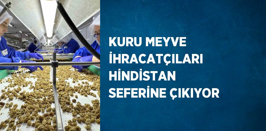 KURU MEYVE İHRACATÇILARI HİNDİSTAN SEFERİNE ÇIKIYOR