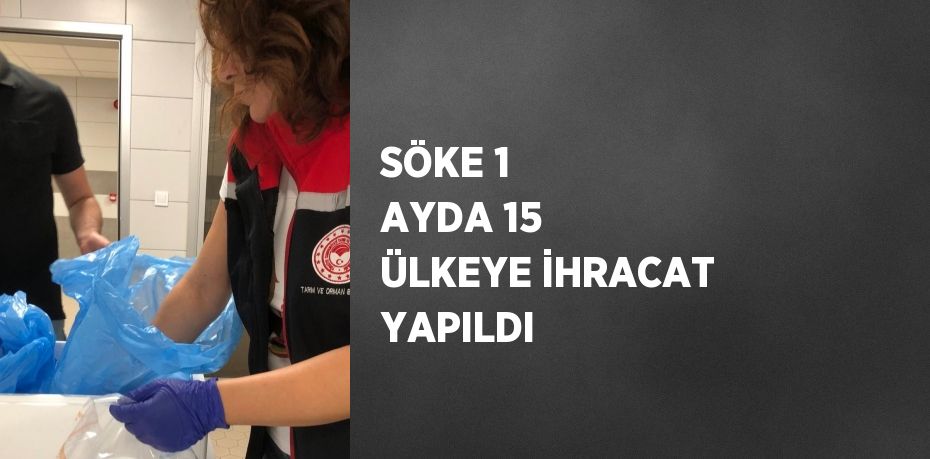 SÖKE 1 AYDA 15 ÜLKEYE İHRACAT YAPILDI