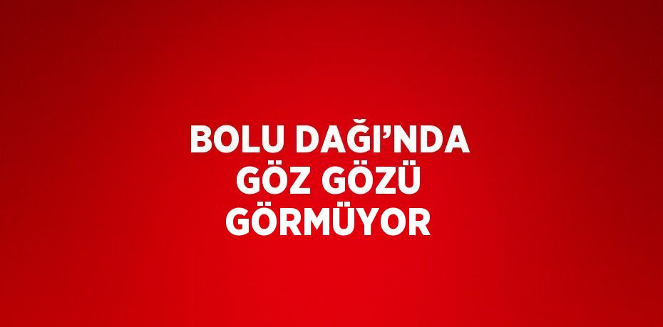 BOLU DAĞI’NDA GÖZ GÖZÜ GÖRMÜYOR