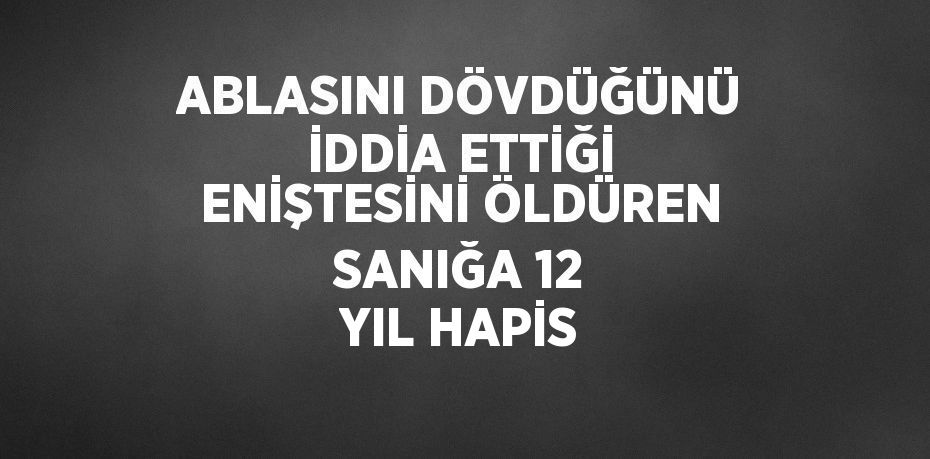 ABLASINI DÖVDÜĞÜNÜ İDDİA ETTİĞİ ENİŞTESİNİ ÖLDÜREN SANIĞA 12 YIL HAPİS