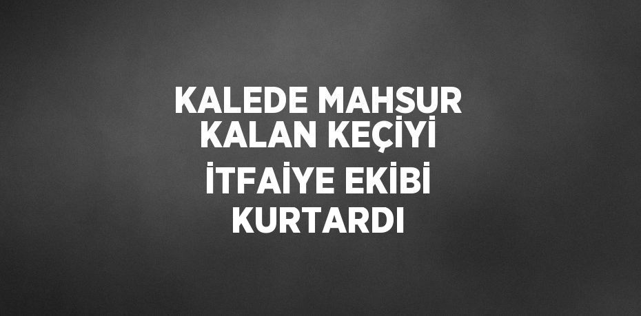 KALEDE MAHSUR KALAN KEÇİYİ İTFAİYE EKİBİ KURTARDI