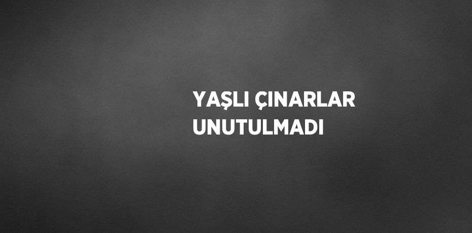 YAŞLI ÇINARLAR UNUTULMADI