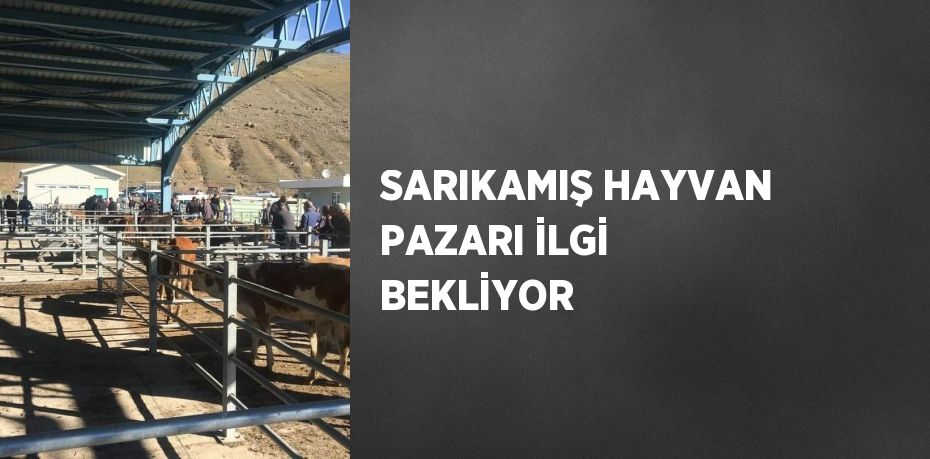 SARIKAMIŞ HAYVAN PAZARI İLGİ BEKLİYOR