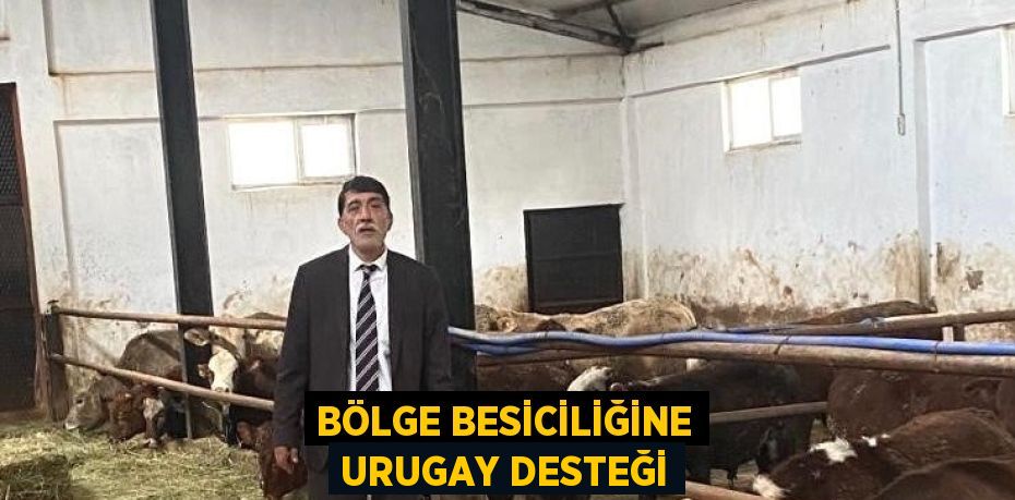 BÖLGE BESİCİLİĞİNE URUGAY DESTEĞİ