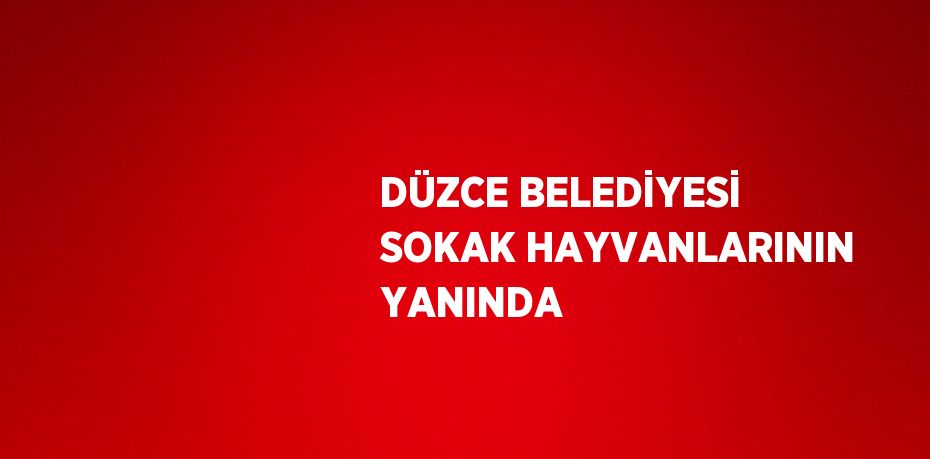 DÜZCE BELEDİYESİ SOKAK HAYVANLARININ YANINDA