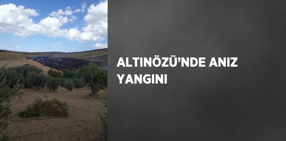 ALTINÖZÜ’NDE ANIZ YANGINI