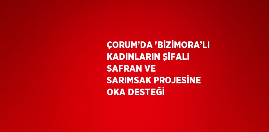 ÇORUM’DA 'BİZİMORA’LI KADINLARIN ŞİFALI SAFRAN VE SARIMSAK PROJESİNE OKA DESTEĞİ