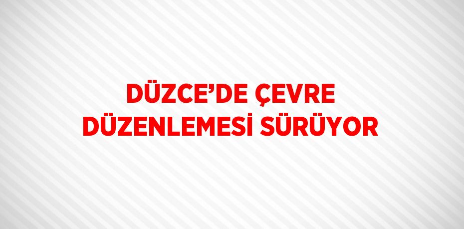 DÜZCE’DE ÇEVRE DÜZENLEMESİ SÜRÜYOR