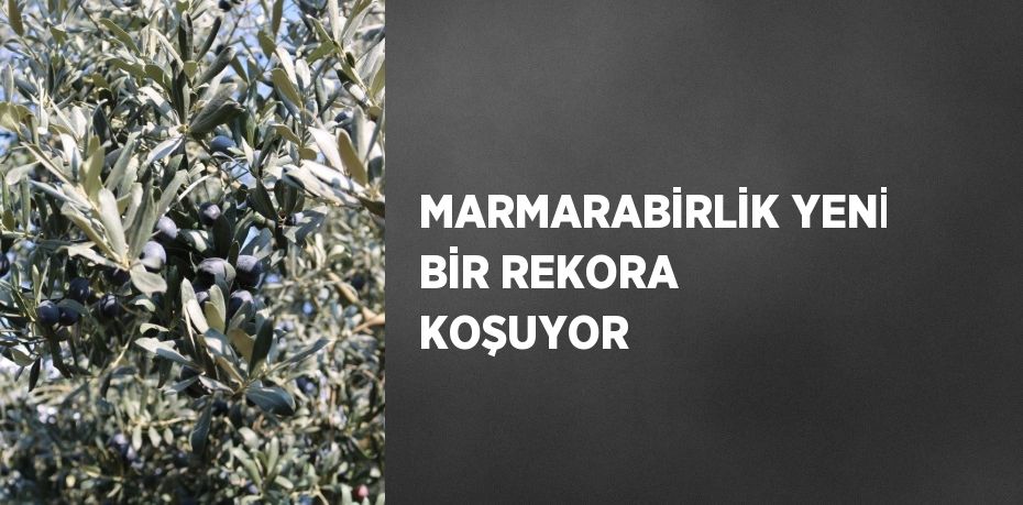 MARMARABİRLİK YENİ BİR REKORA KOŞUYOR