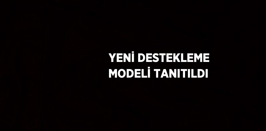 YENİ DESTEKLEME MODELİ TANITILDI