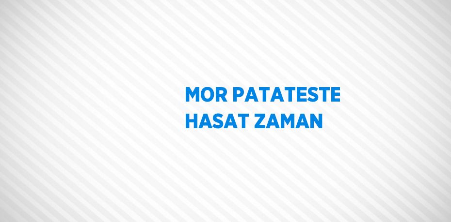 MOR PATATESTE HASAT ZAMAN