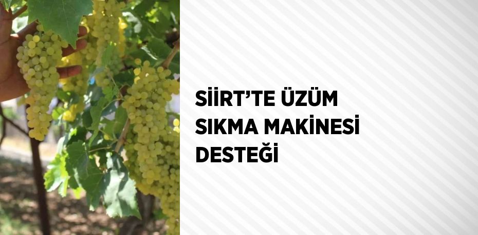 SİİRT’TE ÜZÜM SIKMA MAKİNESİ DESTEĞİ