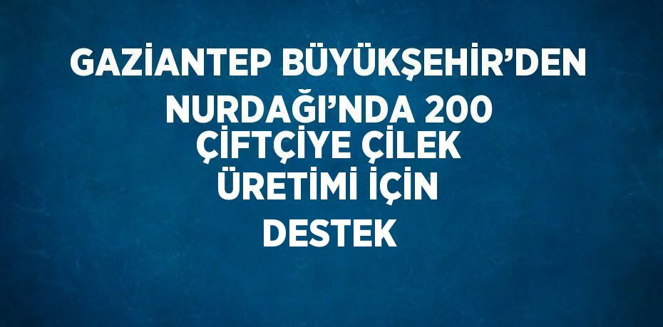 GAZİANTEP BÜYÜKŞEHİR’DEN NURDAĞI’NDA 200 ÇİFTÇİYE ÇİLEK ÜRETİMİ İÇİN DESTEK