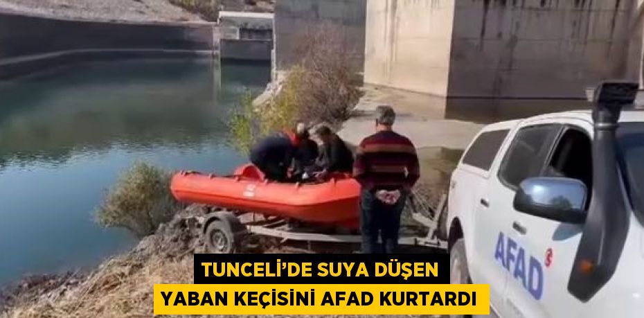 TUNCELİ’DE SUYA DÜŞEN YABAN KEÇİSİNİ AFAD KURTARDI