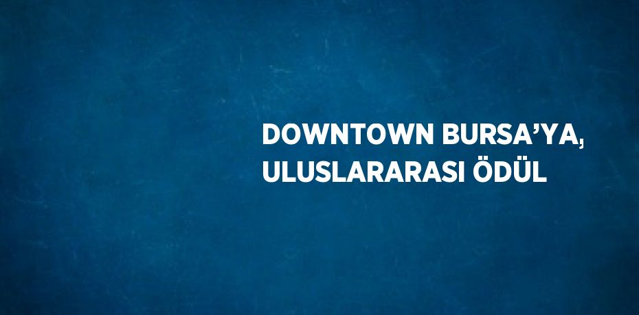 DOWNTOWN BURSA’YA, ULUSLARARASI ÖDÜL