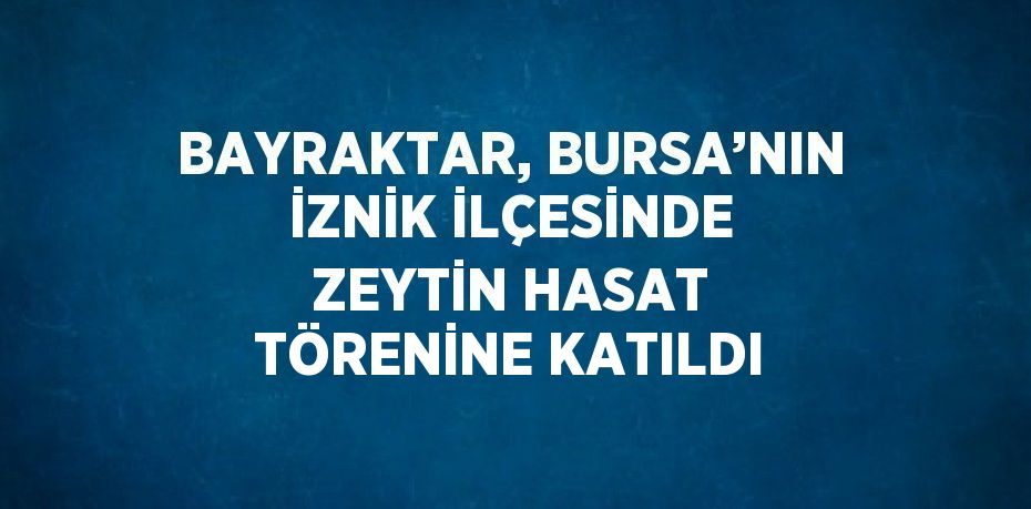 BAYRAKTAR, BURSA’NIN İZNİK İLÇESİNDE ZEYTİN HASAT TÖRENİNE KATILDI