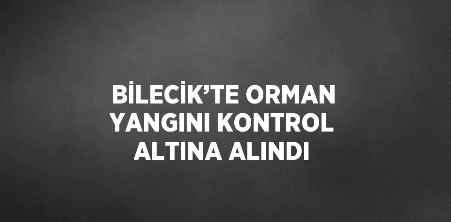 BİLECİK’TE ORMAN YANGINI KONTROL ALTINA ALINDI