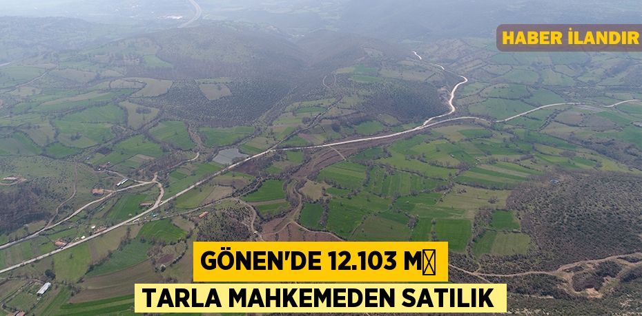 Gönen'de 12.103 m² tarla mahkemeden satılık