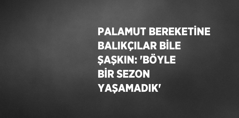 PALAMUT BEREKETİNE BALIKÇILAR BİLE ŞAŞKIN: 'BÖYLE BİR SEZON YAŞAMADIK'