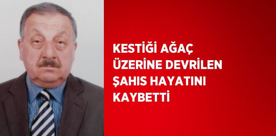 KESTİĞİ AĞAÇ ÜZERİNE DEVRİLEN ŞAHIS HAYATINI KAYBETTİ