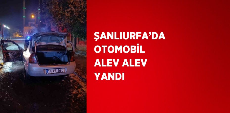 ŞANLIURFA’DA OTOMOBİL ALEV ALEV YANDI