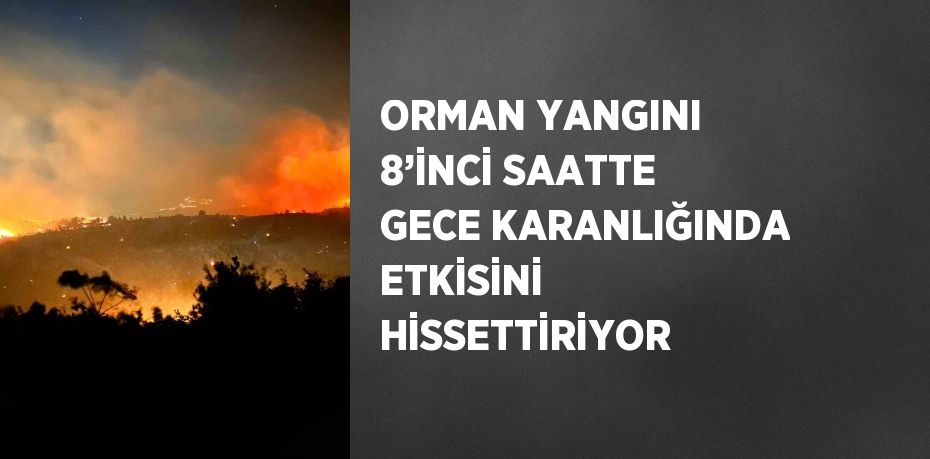 ORMAN YANGINI 8’İNCİ SAATTE GECE KARANLIĞINDA ETKİSİNİ HİSSETTİRİYOR