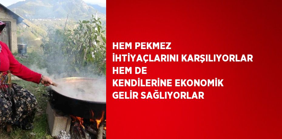 HEM PEKMEZ İHTİYAÇLARINI KARŞILIYORLAR HEM DE KENDİLERİNE EKONOMİK GELİR SAĞLIYORLAR