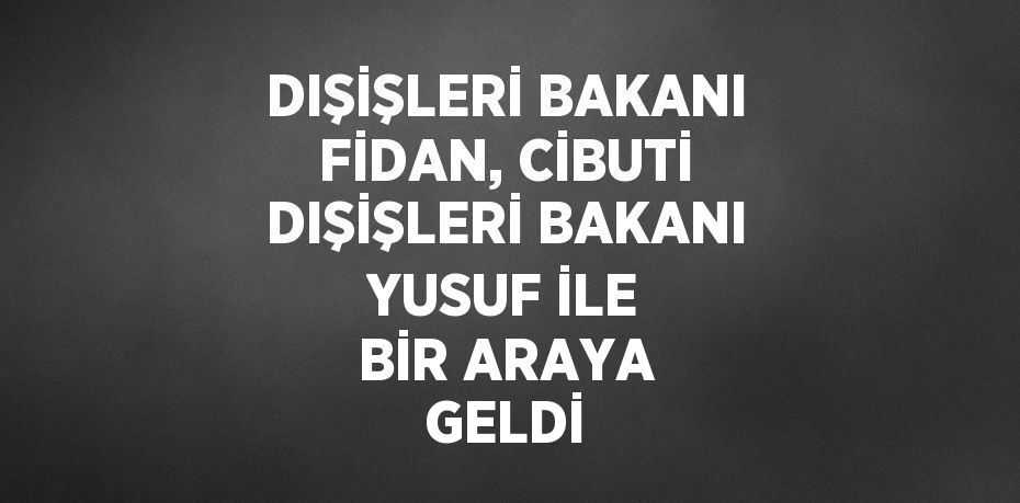 DIŞİŞLERİ BAKANI FİDAN, CİBUTİ DIŞİŞLERİ BAKANI YUSUF İLE BİR ARAYA GELDİ