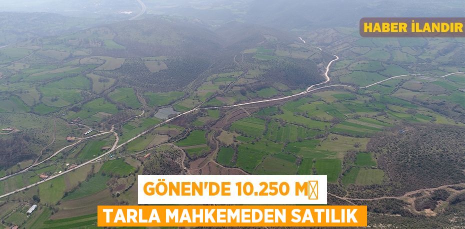 Gönen'de 10.250 m² tarla mahkemeden satılık