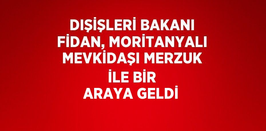 DIŞİŞLERİ BAKANI FİDAN, MORİTANYALI MEVKİDAŞI MERZUK İLE BİR ARAYA GELDİ