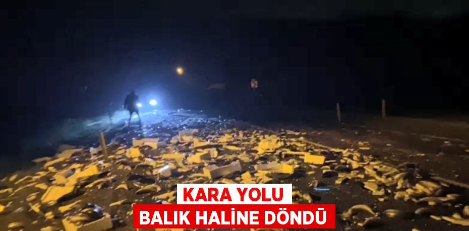 KARA YOLU BALIK HALİNE DÖNDÜ