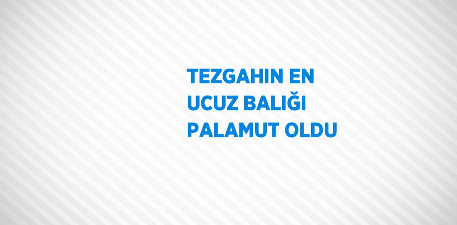 TEZGAHIN EN UCUZ BALIĞI PALAMUT OLDU