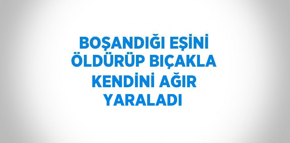 BOŞANDIĞI EŞİNİ ÖLDÜRÜP BIÇAKLA KENDİNİ AĞIR YARALADI