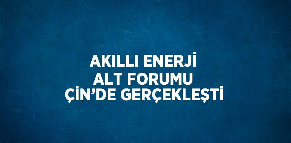 AKILLI ENERJİ ALT FORUMU ÇİN’DE GERÇEKLEŞTİ